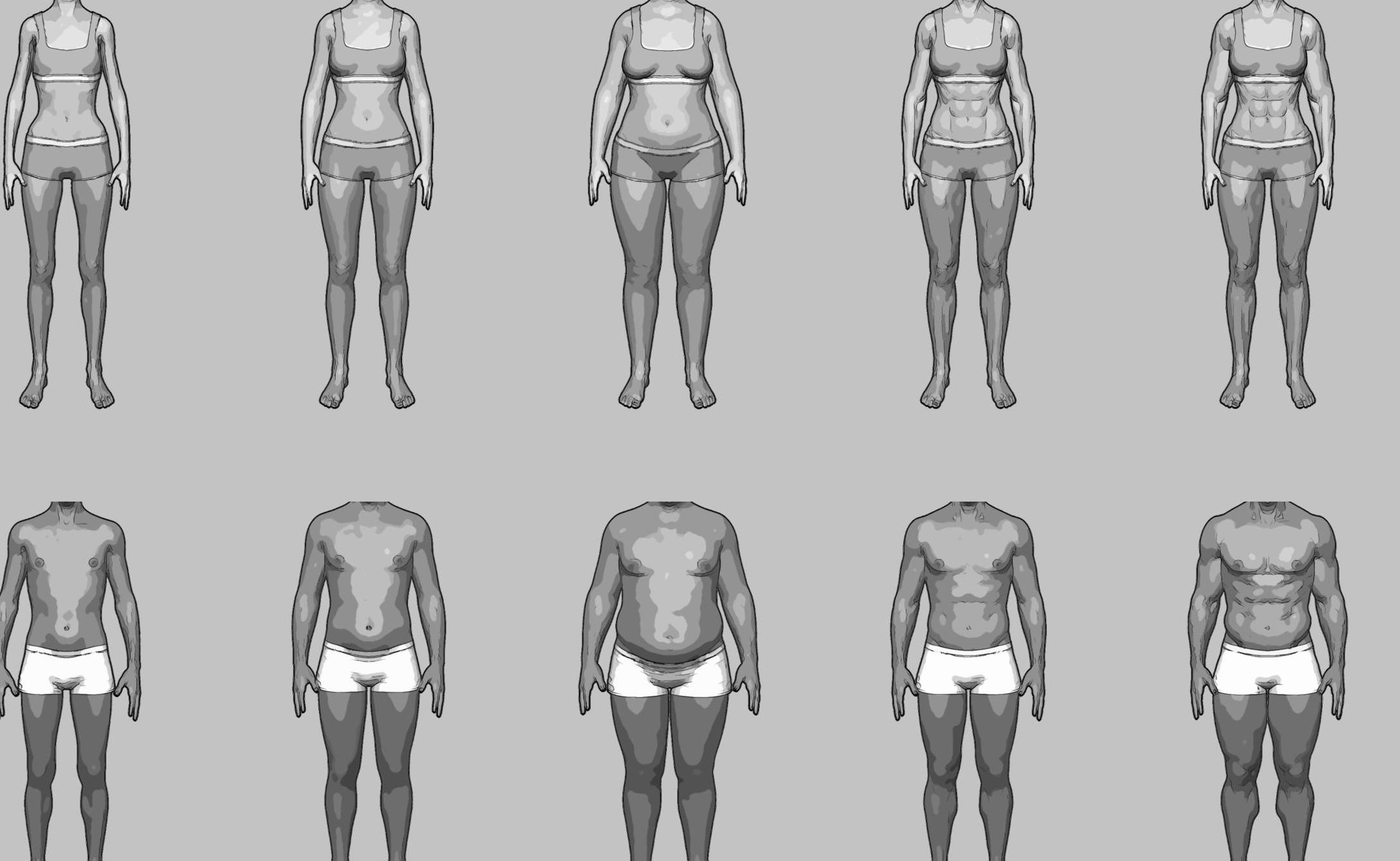 Do You Need A Different Program For Your Body Type? - FitterFaster